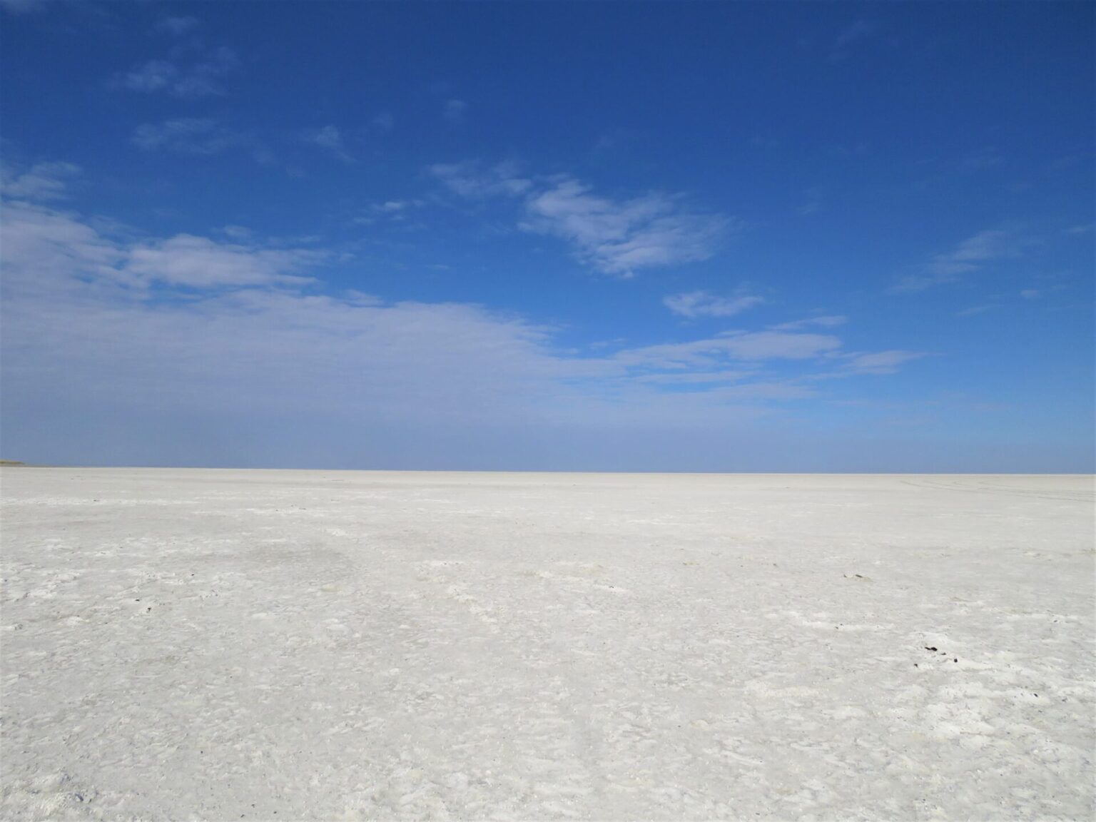 ディカジッド MR リーフレット