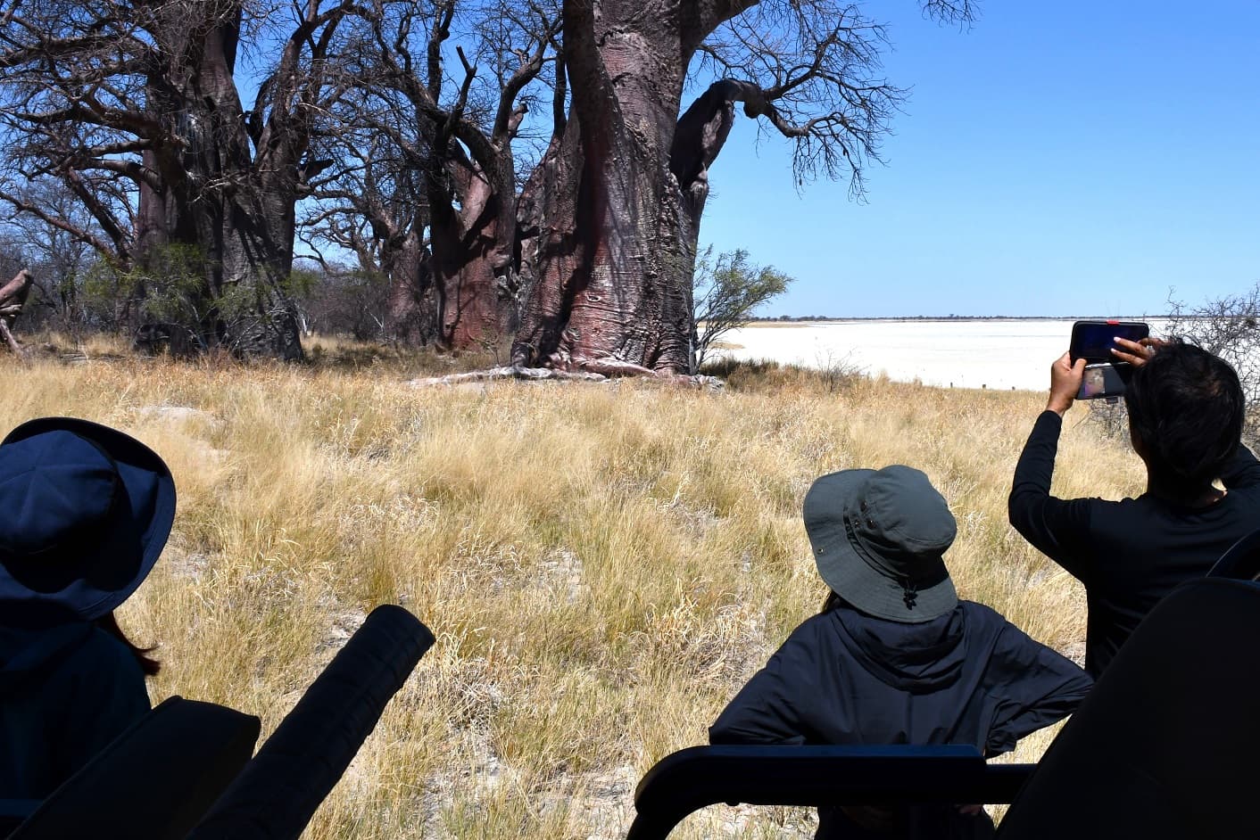 命の秘密に触れた旅 – GREEN WALK TRAVEL | ボツワナ旅行